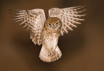 צילום: איליה שלמייב