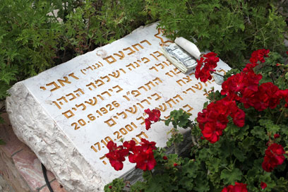 שמר אמונים לדרכו עד מותו. קברו של זאבי בירושלים (צילום: מרק ישראל סלם, ג'רוזלם פוסט) (צילום: מרק ישראל סלם, ג'רוזלם פוסט)
