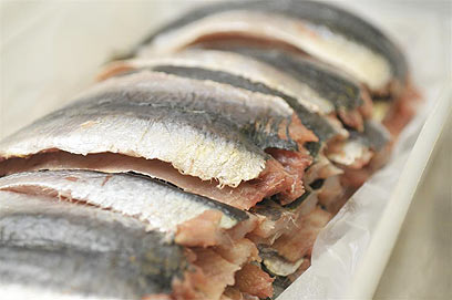 צילום: ירון ברנר צילום: ירון ברנר