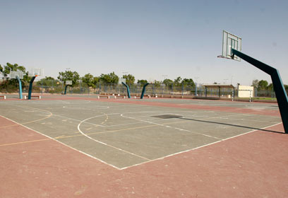 צילום: אליעד לוי