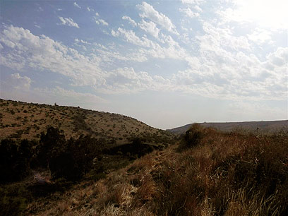 אזור הירדן ההררי (צילום: זיו ריינשטיין) (צילום: זיו ריינשטיין)