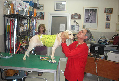 צילום: יריב עגור צילום: יריב עגור