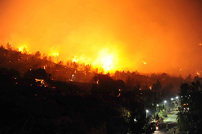 "האש ככל הנראה מתקרבת למלון של הקיבוץ בית אורן" (צילום: אביהו שפירא) (צילום: אביהו שפירא)
