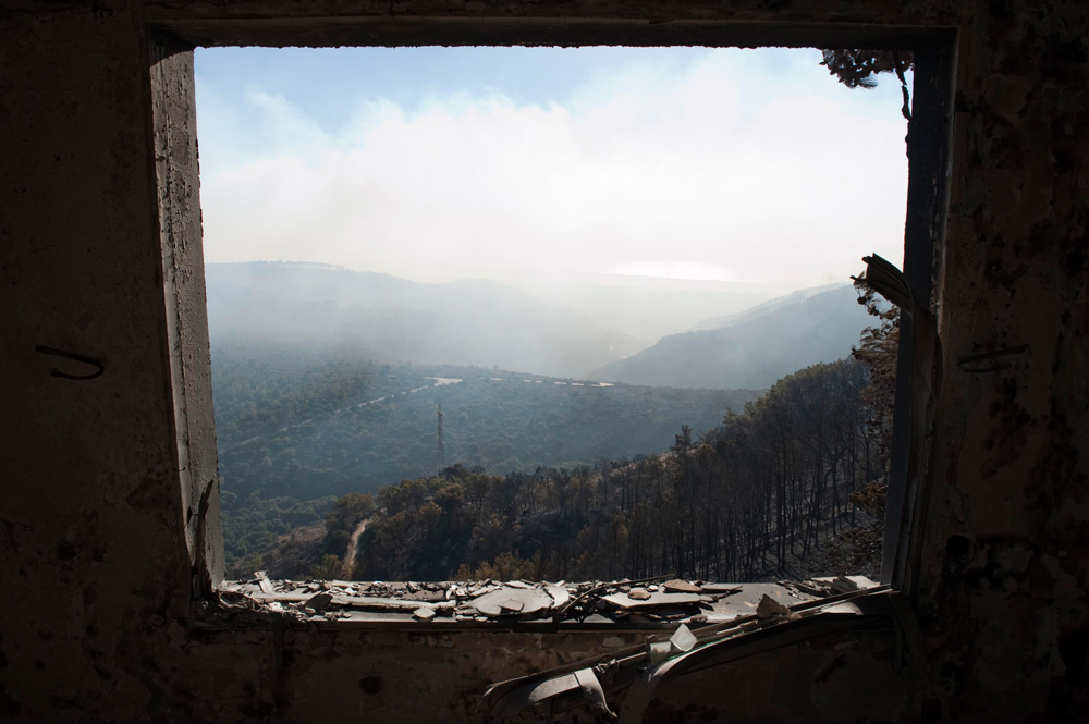 מבט על השריפה הגדולה מבית אורן, לפני שנה (צילום: מתי אלמליח) (צילום: מתי אלמליח)