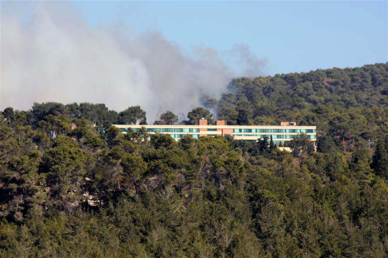 השריפה שהתפשטה למלון יערות הרכמל, לפני שנה (צילום: ג'ורג' גינסברג) (צילום: ג'ורג' גינסברג)