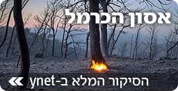 הסיקור המלא של אסון הכרמל ב-ynet