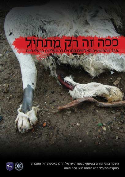 צילום: ביה"ס לפרסום ACC