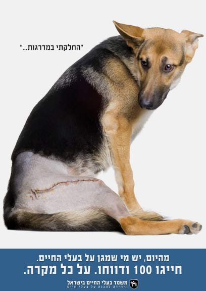 צילום: ביה"ס לפרסום ACC