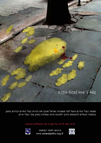 צילום: ביה"ס לפרסום ACC