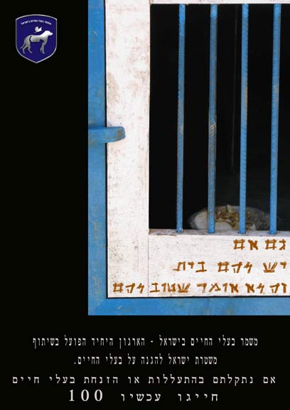 צילום: ביה"ס לפרסום ACC