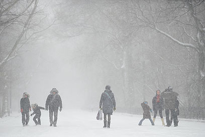שלג בסנטרל פארק  (צילום: AFP) (צילום: AFP)