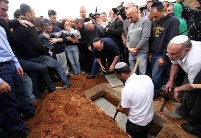 צילום: דרור עינב