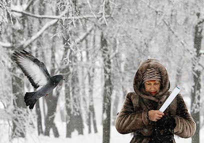 מדינה בלי עתיד? הקור המוסקבאי (צילום: רויטרס) (צילום: רויטרס)