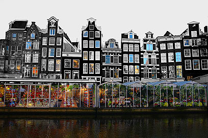 אמסטרדם. צבעונית ותוססת (צילום: zak mc) (צילום: zak mc)