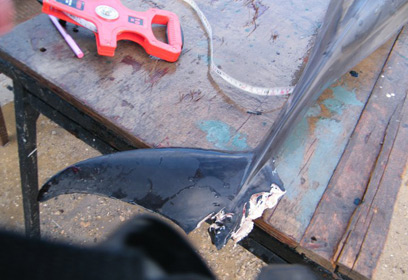 צילום: עוז גופמן, מחמל"י