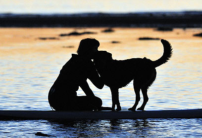 צילום: ירון עיני צילום: ירון עיני