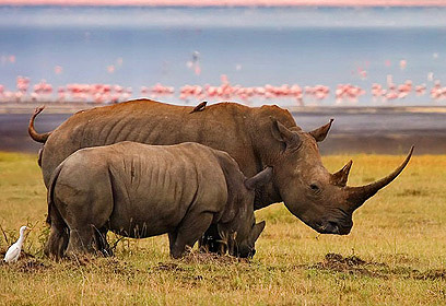 צילום: דני לרדו צילום: דני לרדו
