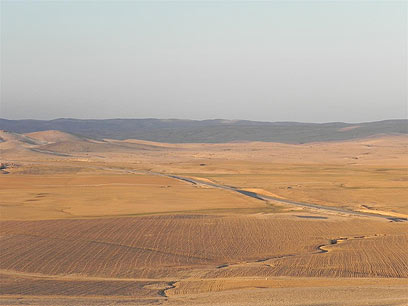 ברוכים הבאים למדבר. כביש 31 בבקעת ב"ש-ערד (צילום: זיו ריינשטיין) (צילום: זיו ריינשטיין)