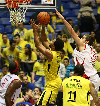 צילום: אלי אלגרט צילום: אלי אלגרט