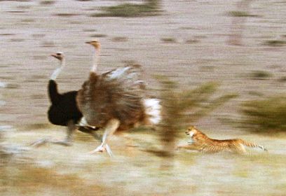 צילום: BBC צילום: BBC