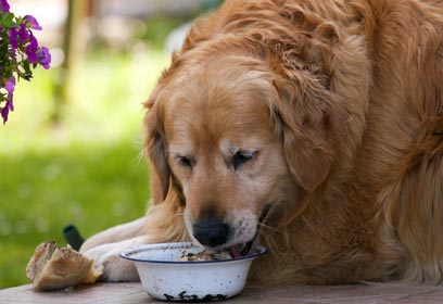 צילום: shutterstock