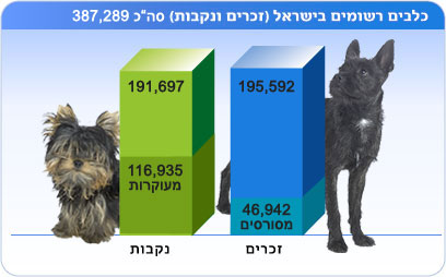 צילום: פוטוס ויז'ואל