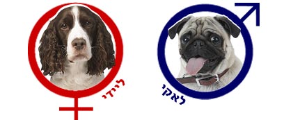 צילום: פוטוס ויז'ואל