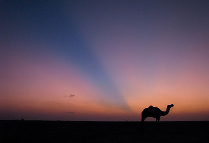 צילום: אורי נשרי צילום: אורי נשרי