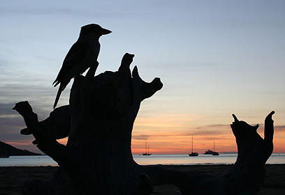 צילום: אסף שוסטר