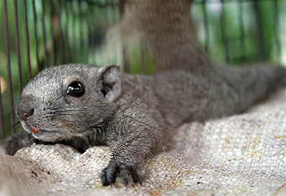 צילום: אסף שוסטר