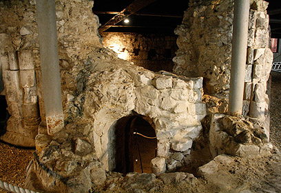 צילום: גילי מצא