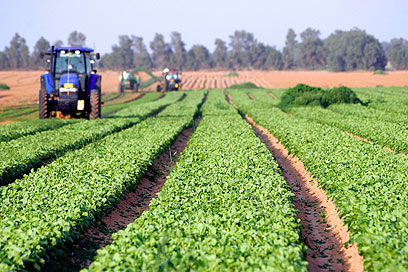 Farming in southern Israel (Photo: Eliad Levy) (Photo: Eliad Levy)