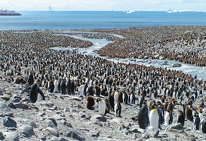 צילום: לאה מיכאלי