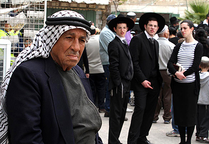 צילום: גיל יוחנן