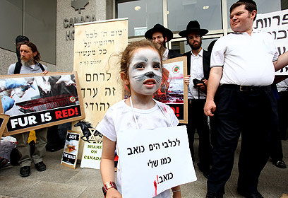 צילום: רונן מחלב