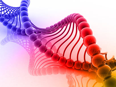 הדמייית DNA (צילום: shutterstock) (צילום: shutterstock)