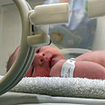 צילום: shutterstock