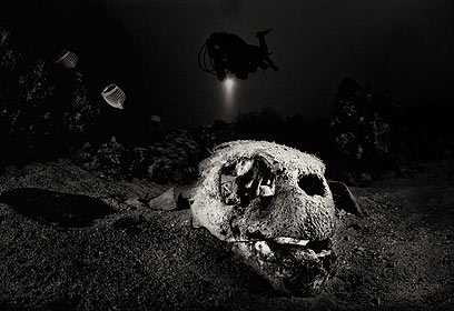 צילום: דני וינברג צילום: דני וינברג