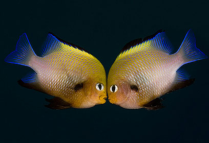 צילום: דני וינברג צילום: דני וינברג