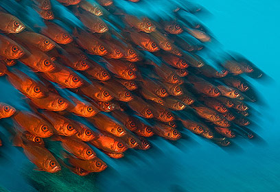 צילום: דני וינברג צילום: דני וינברג