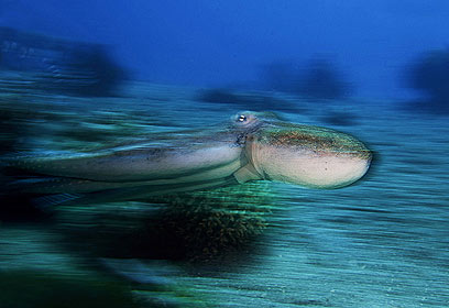 צילום: דני וינברג צילום: דני וינברג