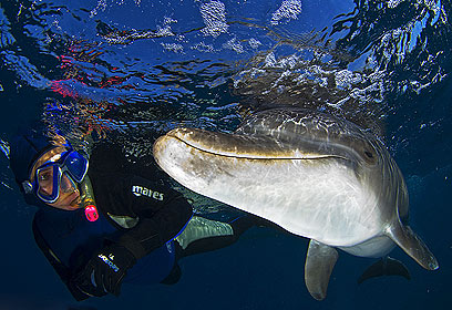 צילום: דני וינברג צילום: דני וינברג