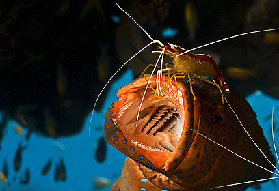 צילום: דני וינברג צילום: דני וינברג