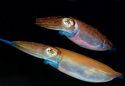 צילום: דני וינברג צילום: דני וינברג