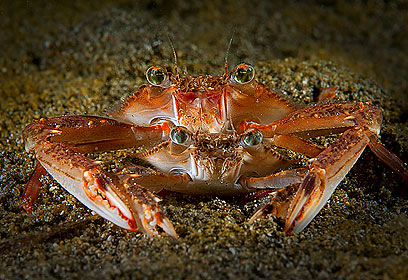 צילום: דני וינברג צילום: דני וינברג