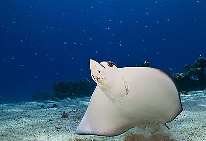 צילום: דני וינברג