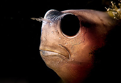 צילום: דני וינברג