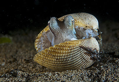 צילום: דני וינברג צילום: דני וינברג