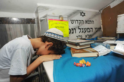 צילום: אביהו שפירא צילום: אביהו שפירא