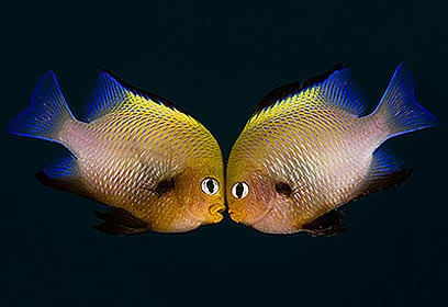 צילום: דני ביקו צילום: דני ביקו